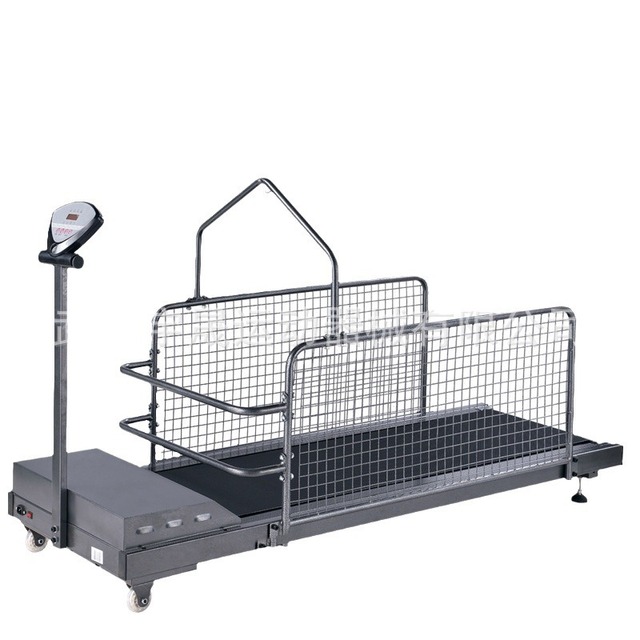 PetFit Dog Treadmill for Medium Large Dogs With Mesh Training Treadmill for Dog Golden Retriever Agility Training Rehabilitation