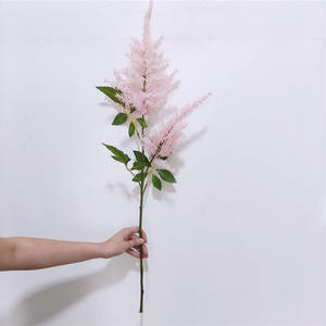 Nouvelle herbe de la <span class=keywords><strong>pampa</strong></span> à <span class=keywords><strong>tige</strong></span> unique, fleur séchée, petite fleur <span class=keywords><strong>artificielle</strong></span>, marron, blanc, gris, 85 cm, vente en gros - Product Image 6