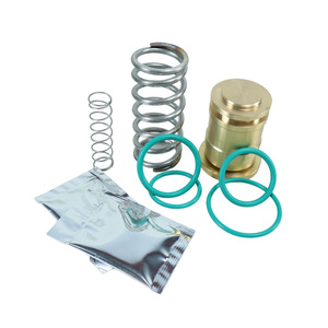 Kit de Válvula de Presión Berg 223044167P, Repuestos Compatibles, Gama Completa para Compresor de Aire de Tornillo, 1 Año de Garantía, en Stock - Product Image 1