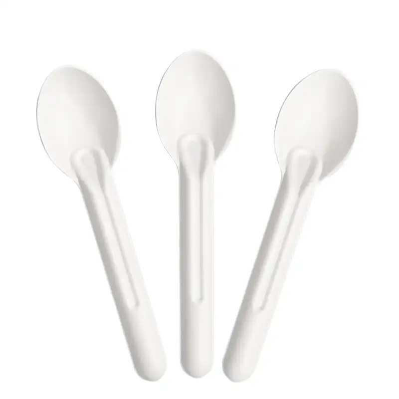 Customized packaging disposable biodegradable bagasse fibre table spoon