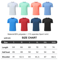 Camiseta Deportiva Premium Personalizada para Hombre, Elástica en 4 Direcciones, Absorbe la Humedad, Secado Rápido, 89% Poliéster, 11% Elastano