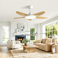 Ventilateur de plafond moderne de 52 pouces avec lampe, moteur DC, télécommande LED, 3/5/6 pales, 6 vitesses, CRI 90, lumière à spectre complet, batterie rechargeable