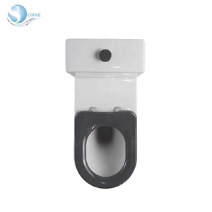 <span class=keywords><strong>WC</strong></span> <span class=keywords><strong>per</strong></span> <span class=keywords><strong>disabili</strong></span> standard australiano, toilette in due pezzi, <span class=keywords><strong>WC</strong></span> accessibile - Product Image 5
