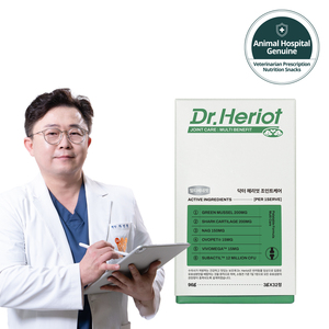 Dr. Heriot Suplemento óptimo para el cuidado de las articulaciones caninas Alivio natural Mejillón de labios verdes Cuidado DE LA SALUD Suplementos para mascotas para perros - Product Image 2