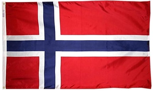 Drapeaux de Norvège à agiter à la main avec mât, 100 % polyester, pour événements sportifs, vente en gros 2026 - Product Image 4