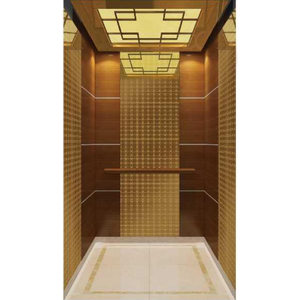 Hành khách thang máy cabin STS chân tóc 304 khắc sơn vàng hồng vàng cho thang máy - Product Image 4