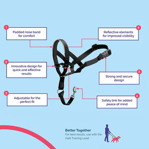 <span class=keywords><strong>Collar</strong></span> de cabeza de perro superventas para dejar de tirar de la correa, banda de nariz acolchada, ayuda profesional de entrenamiento antitracción para perros medianos - Product Image 2