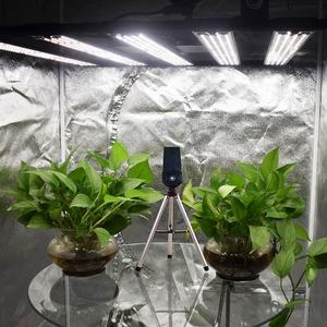 720W LM301H EVO hydroponique LED lampe de croissance 6 Bars IP65 étanche lampes de croissance pour la publicité verticale - Product Image 3