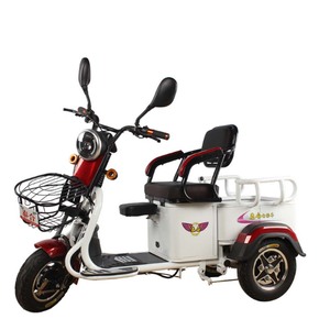 Electric Tricycle 48V <b>2</b> Seats <b>Passenger</b> Cargo Capacity 200-300kg Open Body Type - Product Image 1