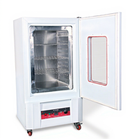 Four à air chaud EIE, intérieur en acier inoxydable, température maximale 250°C, puissance nominale 2 kW, modèle EIE-101DP, équipement de séchage de laboratoire 1