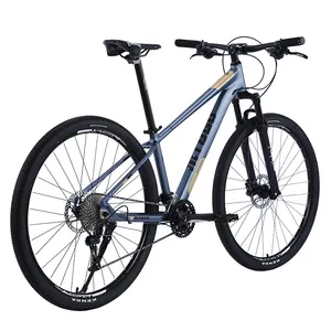 Hot Selling 24 26 27,5 29 Zoll 10-Gang-Aufkleber große Räder hydraulische Bremse junge Leute Mountainbike für Männer