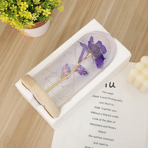 Romantico LED Flower Night Light Eternal Rose Glass paralume Christmas Valentine Holiday Gift Table Night Lamp - Product Image 3