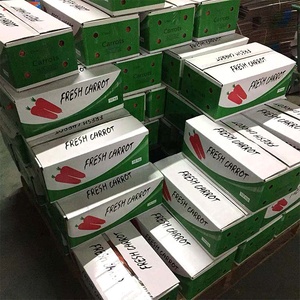 <span class=keywords><strong>2025</strong></span> cà rốt tươi S M L 2L - Product Image 6