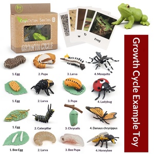 Figuras de Animales del Ciclo de Vida Montessori, Juguete Educativo Preescolar para Niños Pequeños, Juego de Material Didáctico - Product Image 1