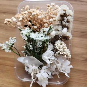 Boîte de fleurs séchées mélangées pour loisirs créatifs, kit de fleurs séchées naturelles préservées pour scrapbooking, fabrication de cartes, décoration intérieure - Product Image 2