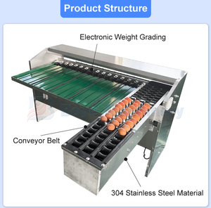Hoàn Toàn Tự Động Moba Kim Cương 8400 Trứng Học Sinh Lớp Kích Thước Nhỏ 5000 Pcs Mỗi Giờ Trọng Lượng Kích Thước Trứng Phân Loại Máy Phân Loại Với Nến - Product Image 4