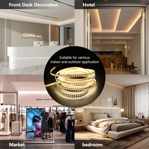 Bande lumineuse LED flexible à haute luminosité DC 24V 2835 3000K 4000K 6500K - Product Image 6