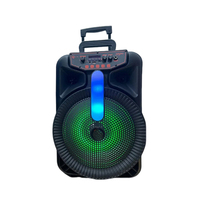 Machine de karaoké avec microphone sans fil à télécommande 5.0, subwoofer de 12 pouces, éclairage LED RVB, alimentation par batterie 20W