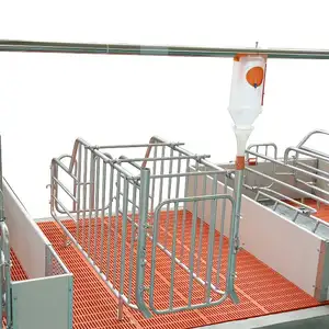 JUXIN Outstanding Quality Swine Farm Pig Cage Equipment Breeding Gestation Stalls Competitive Price Sow Farrowing Hot Product