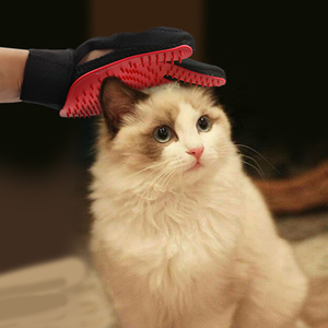 ถุงมือซิลิโคนสำหรับสัตว์เลี้ยงแบบเรียบง่าย พร้อมแปรงและหวี ป้องกันรอยขีดข่วน สำหรับแมว กำจัดขน อาบน้ำ นวด - Product Image 5