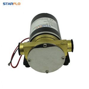 Pompe à eau centrifuge auto-amorçante miniature Dafele 12V/24V pour pont de yacht marin, pompe à eau de refroidissement et de rinçage - Product Image 3