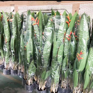 Grandes plantes artificielles tropicales de 1,20 m (2 pièces) – Faux palmiers en plastique au toucher réel pour la décoration de la maison et du jardin - Product Image 1