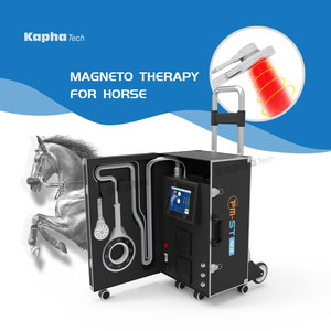 Hochwertige Physio Magneto Infrarot-Massage geräte Physiotherapie Nahinfrarot-Therapie Pemf-Gerät für Tierärzte - Product Image 6