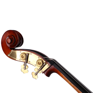 Hot Bán Colourful Bóng Varnish Maple Bass Đôi Với Spruce Top Và Chuỗi Thép - Product Image 5