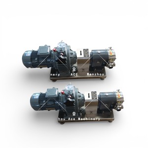 Ace 3A Sanitary Rotary Lobe Pump Positive Displacement Pump Manufacturer - Product Image 4