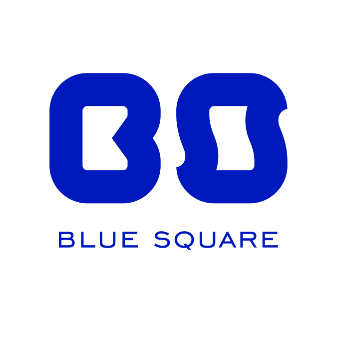 Shenzhen Blue Square Technology Co., Ltd.