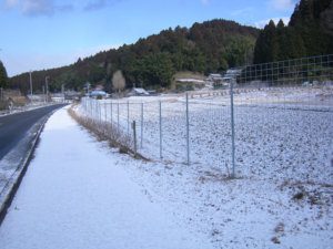 3D Metal <b>Garden</b> Fence for Commercial and Industrial Fence - Product Image 5