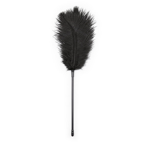 Plumes sexy Teasing Sticks SM Sex Toys pour jouer et flirter avec les esclaves - Product Image 1
