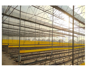 20cm * 100m môi trường thân thiện dính Côn Trùng Keo Bẫy nông nghiệp sáng màu vàng keo Ribbon Killer vật lý rệp kiểm soát - Product Image 1