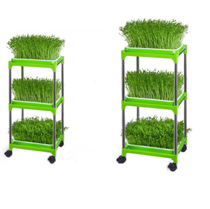 Giá Đỡ Khay Trồng Cây Thủy Canh, Khay Ươm Cây Bằng Thép Không Gỉ - Product Image 1