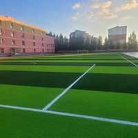 Meisen Umweltfreundlicher Weicher PE-Kunstrasen für Kindergarten Garten Dachterrassen Spielplatz Grüne Landschaften Kinder Haustiere Teppich Rasen