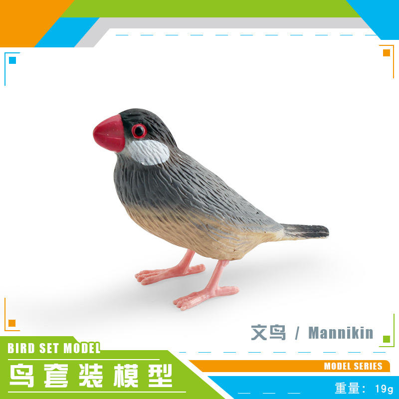 PL127-2891 Wenbird 19G