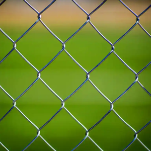 Malla <span class=keywords><strong>de</strong></span> Protección Galvanizada por Inmersión en Caliente <span class=keywords><strong>de</strong></span> Alta Resistencia para Prisiones y Aeropuertos con Alto Nivel <span class=keywords><strong>de</strong></span> Seguridad Anti-Daños y Anti-Corrosión - Product Image 5