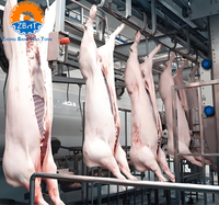 Projet clé en main d'abattoir porcin automatique, équipement de traitement de la viande, machinerie clé en main à grande échelle