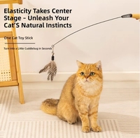Baguette de chat avec manche en bois et fil à ressort, recharges de plumes naturelles, jouet interactif pour chatons, vente en gros