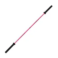 Barbell Ez Gym 1.2m 50mm Barbell Red 1.2 Ez Curl Bar With Weights