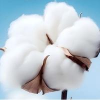 Premium 100% Long-Staple Cotton 3-Piece Towel Set, Ultra Soft & Absorbent Quick Dry Luxury Towels for Hotel & Home Use