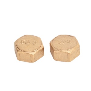 Tapas de Válvula de Latón de Shanghái y Corea del Sur, 1/2, 3/4, 6/8, 1 Pulgada, Rosca Interna, Accesorios de Plomería - Product Image 1