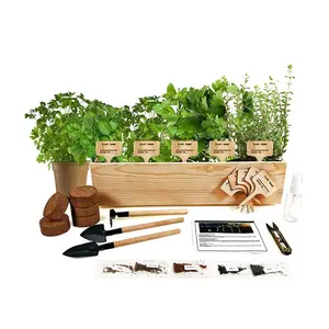 Caja de maceta natural rectangular decorativa interior personalizada Cubo de planta regalo maceta de madera Kit de cultivo de flores con etiqueta de madera