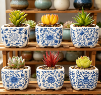 Set 6 Pot Keramik Berlapis Kaca 3.1 inci dengan Alas Bambu, Pola Dekal Biru Putih, untuk Tanaman Sukulen, Kaktus, Dekorasi Rumah & Kantor