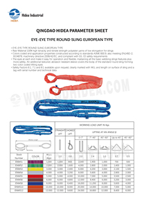 <span class=keywords><strong>Eslinga</strong></span> Redonda HIDEA Eye-Eye Tipo Europeo EN1492-2, Funda Resistente a la Abrasión, Ojos Codificados por Color, Certificación CE GS, ASME B30.9 ISO4878 - Product Image 6