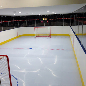 4X8 Trượt Băng Nhân Tạo Sử Dụng Nhựa Hdpe Tấm Nhựa - Product Image 1