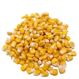 Légumes séchés à l'air de qualité supérieure, maïs jaune à vendre 10MT/20FCL 20 kg/carton de CN;JIA Non gluant 20Kg 1 Cm AD