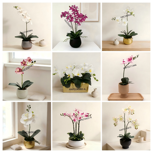 Plante d'orchidée blanche élégante, orchidée Phalaenopsis à 8 têtes dans un <span class=keywords><strong>pot</strong></span> <span class=keywords><strong>en</strong></span> plastique noir, fleurs au toucher réel à faible entretien pour la maison - Product Image 2