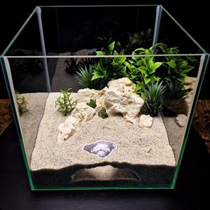 Décoration d'<span class=keywords><strong>aquarium</strong></span> imprimée en 3D : Cachette en forme de maison pour serpents, lézards, petits poissons et crevettes - Product Image 3
