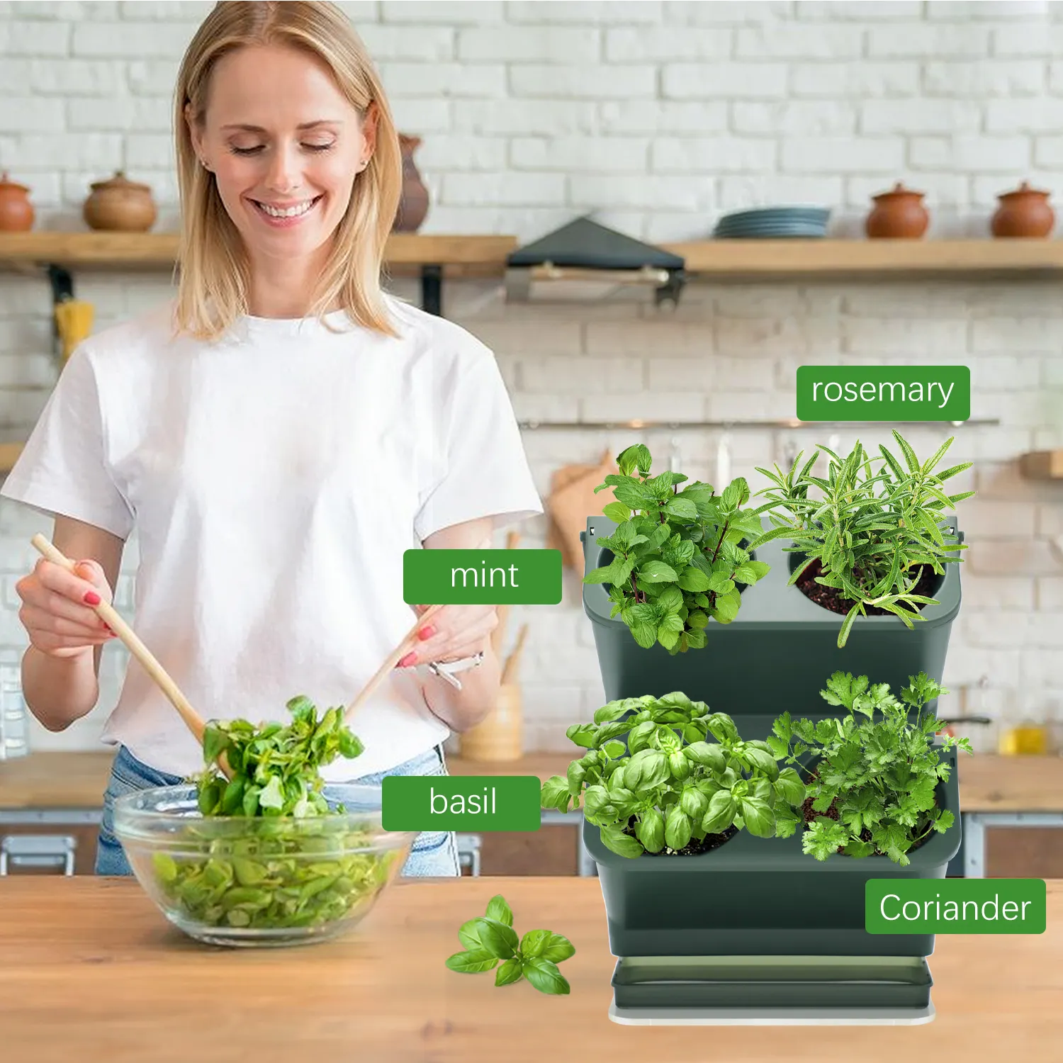 8 Kruiden Tuin Raam Planter Keuken Aanrecht Groeiende Groenten Binnen Verse Kruiden Thuis